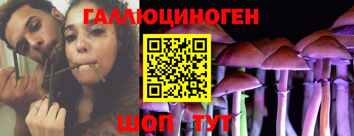 Галлюциногенные грибы MAGIC MUSHROOMS  Вход с VPN  Кимовск  Псилоцибиновые грибы Psilocybine cubensis 